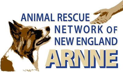 Animal Rescue Network of New England, Inc.