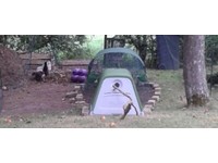 Eglu Pet Equipment Accessories For Sale Gumtree