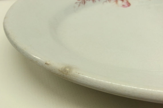 Steubenville Pottery Oval Platter Antique Moss Rose Ironstone Serving Plate SP