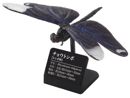 【ノブタ】dragonfly  generix Dragonflies in Japan Actual Size Figure Butterfly Dragonfly