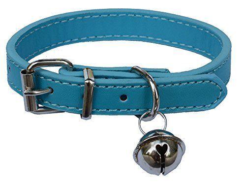 6 Reflektierend Katze Halsband, Katzen Halsbnde mit Glckchen, Verstellbar  K | eBay.de