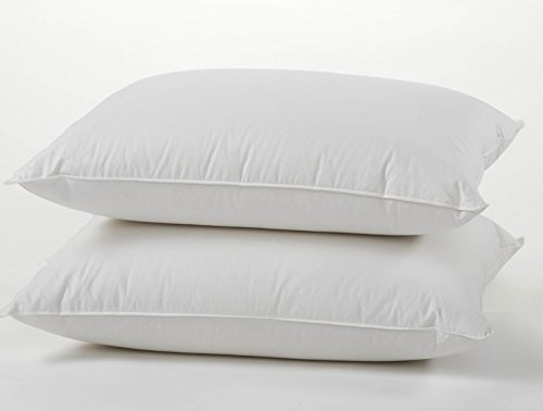 Openbox Basic Beyond White Goose Down Pillow Gusseted 700 Fill