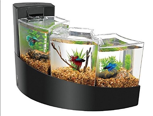 Beta Desktop Aquarium Tank Fish Kit Falls Home Office Childs Room Natural Beauty