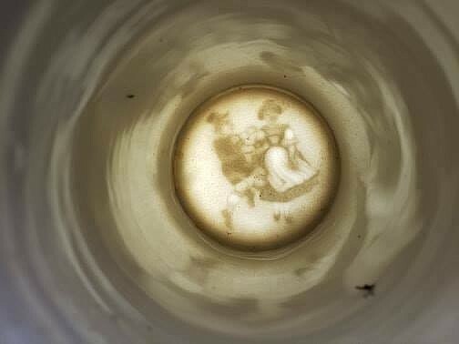German Porcelain Lithophane Beer Stein w Ducks