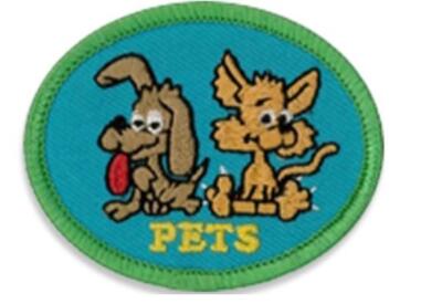 Girl Boy Cub PETS animals Care Store Patches SCOUT GUIDE Dogs Cats Fish Birds