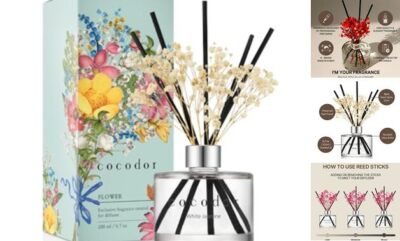 COCODOR Preserved Flower Reed Real Flower/6.7Ounce/1Pack White Jasmine
