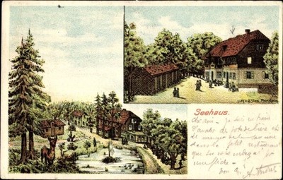 Litho Pforzheim im Schwarzwald Baden Württemberg, Landgasthof Seehaus - 10092755