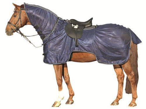 Horse Wear