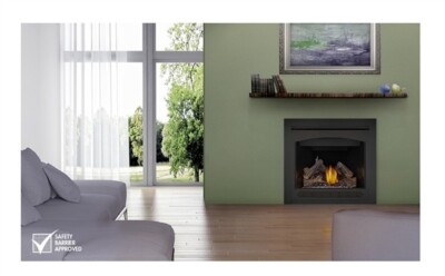 BRAND NEW Ascent Series Napoleon Gas fireplace B36NTRE-1 **FREE SHIPPING**