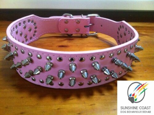 Pink Dog Collars
