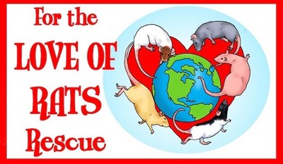 For The Love Of Rats Rescue