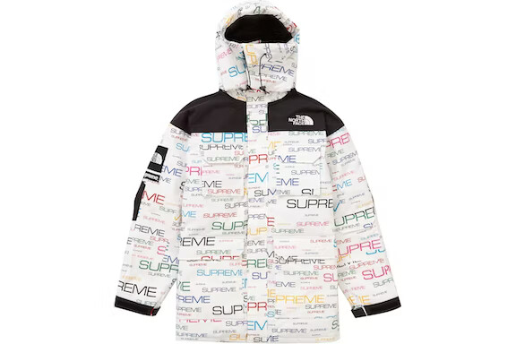 Supreme The North Face TNF Coldworks 700-Fill Down Parka White
