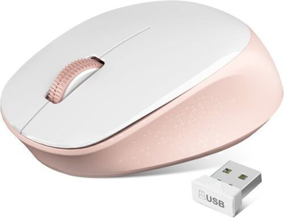 Usb Cordless Mice For Laptop, Mac Chromebook