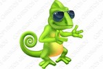 gogeckoclothing