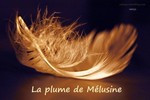 laplumedemelusine