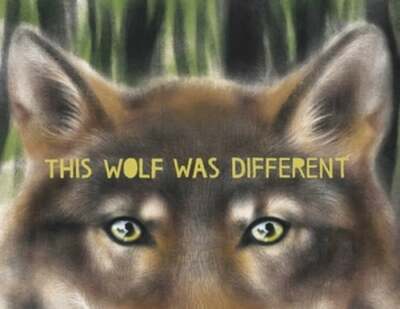 This Wolf Was Different by Katie Slivensky: New