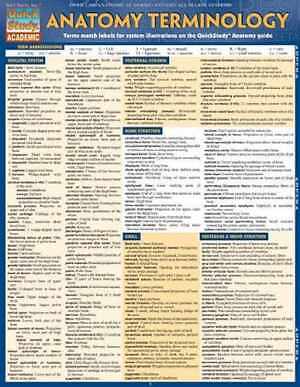 Anatomy Terminology (Quick Study - Pamphlet, by BarCharts Inc. - Very Good