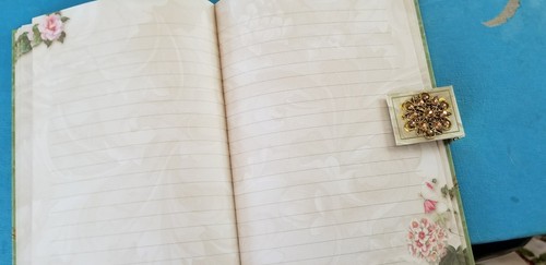 Journal with magnetic closer