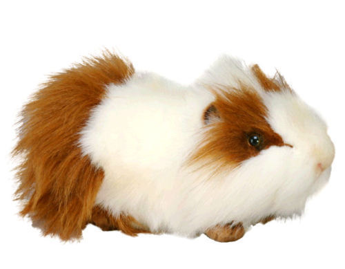 Pig ☆ Amazon.com : Puma XP 15