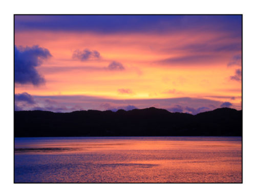 Handcrafted Greeting Cards & Gift Tags