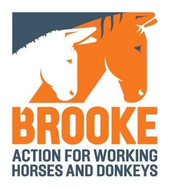 The Brooke Hospital for Animals