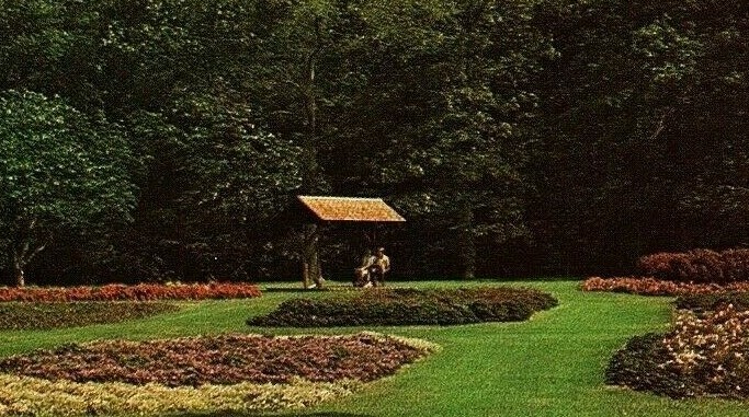 Picture 2
