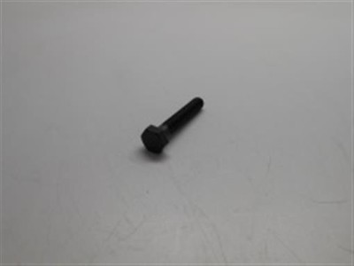 Genuine echo Part BOLT 69911505360 | eBay 