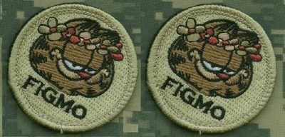 WW II US ARMY AIRBORNE HELLS ANGELS Los Baños RAID PHILIPPINES DEATH HEAD PATCH