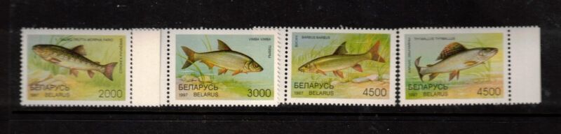 Belarus Sc 204-7 MNH set of 1997 - Fish - FH02