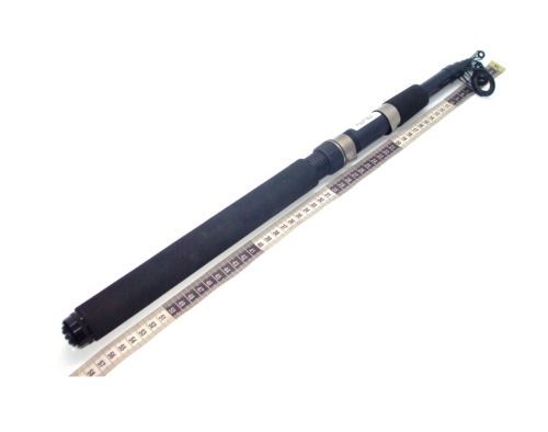 10' TELESCOPIC SEA FISHING ROD BEACHCASTER PIER FISHING ROD TRAVEL SEA ROD  | eBay
