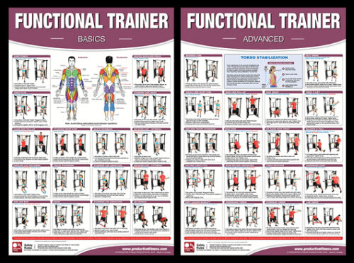 Gym Wall Charts