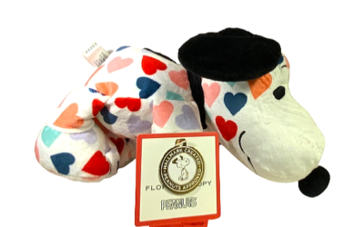 Valentine 2025 snoopy plush