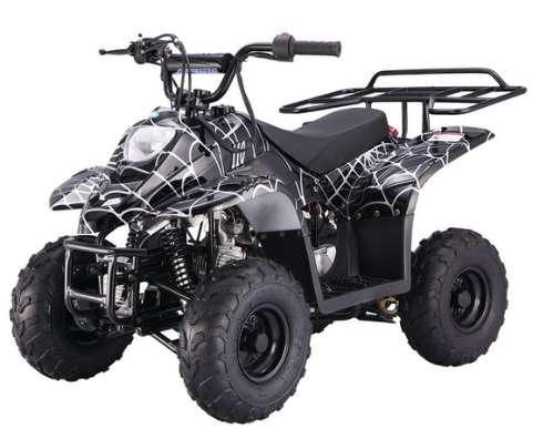 Tao Tao Boulder 110cc Kids ATV