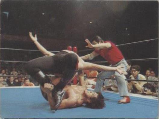 1974 Yamakatsu New Japan Pro Wrestling - Anaconda #20 for sale | eBay