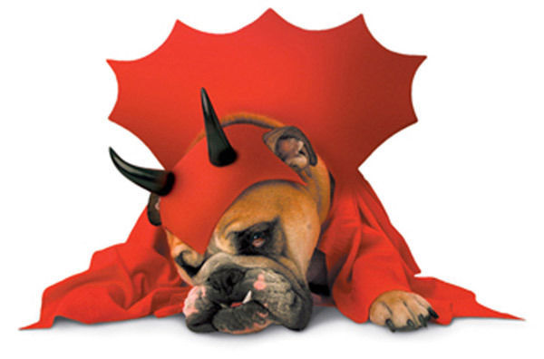 Dog Devil Costumes