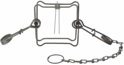 2   Duke 160  Body Grip Traps  Trapping  Raccoon Fisher Groundhog 0466
