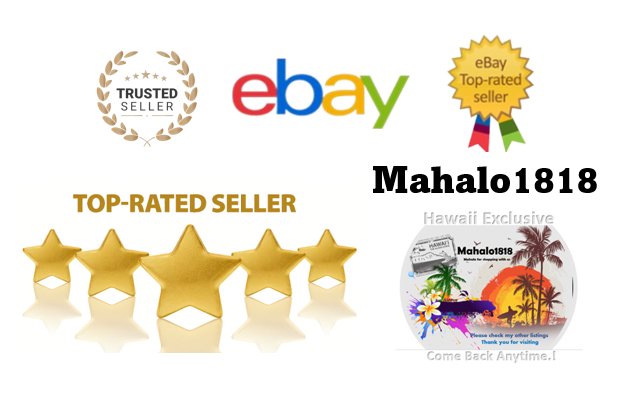 🌺 Starbucks Hawaii Mug Bundle Been There Collection Hawaii License Plate Mug