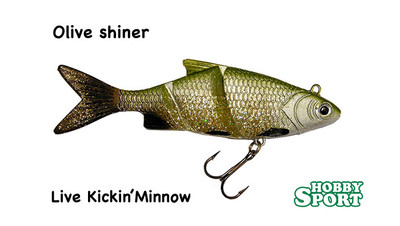 STORM LIVE KICKIN SHAD 4" OLIVE SHINER 14 GR 10CM ARTIFICIALE SPINNING LUCCIO
