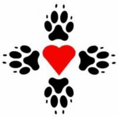 Four Paws Rescue, Inc