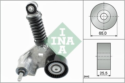 534 0169 10 INA Tendicinghia, Cinghia Poly-V per FORD,JAGUAR