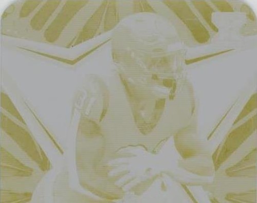 2022 Leaf Exotic Dameon Pierce #BA-DP2