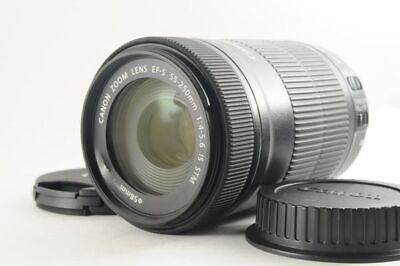 Canon EF-S 55-250mm F4-5.6 IS STM Clean and beautiful Canon EF-S 55-250mm F4-5.6 IS STM Clean and beautiful