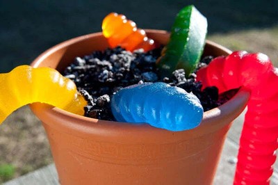 Giant 3-Pound Gummy Worm