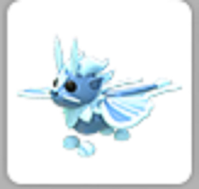 Adopt Your Pet From Me! | Pets & Bucks | Cheap Prices | Fast Delivery