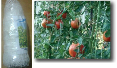 RETE SOSTEGNO RAMPICANTI 10 X h 1,5 mt PISELLI PIANTE FIORI ORTAGGI in PLASTICA