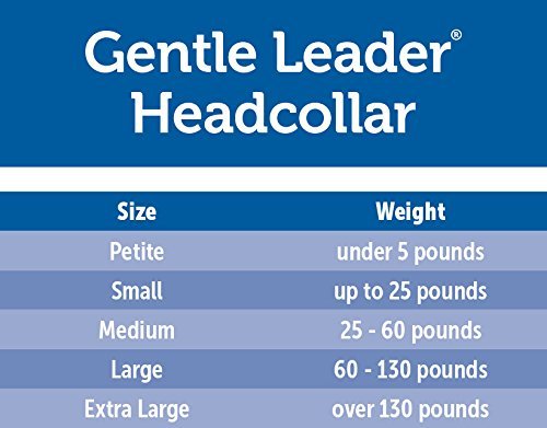 PetSafe Gentle Leader Head Collar with Training DVD, Medium, Royal Blue