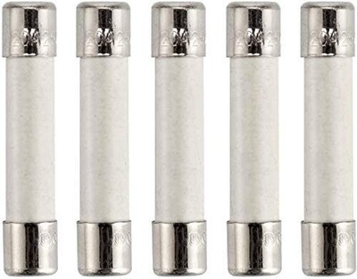 Microwave Fuse Ceramic Fuse Cartridge Fuse 20 Amp 250V Slow-Blow and Universa...