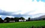 cottage-wales