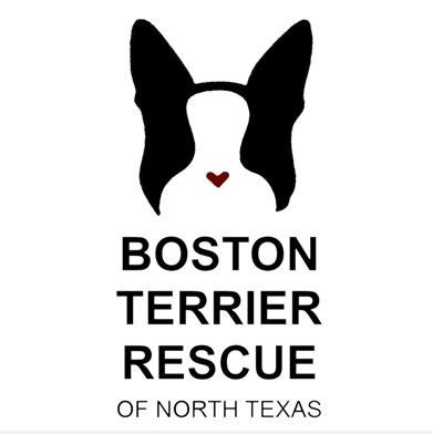Boston Terrier Rescue of North Texas