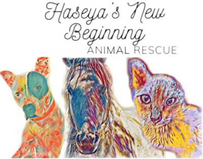 Haseya’s New Beginning Animal Rescue